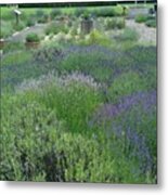 Lavender At The Abbey Metal Print