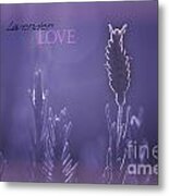 Lavender Love Metal Print