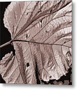Leaf Fall Metal Print