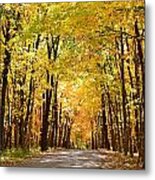 Leaf Lit Path Metal Print