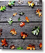 Leaves Metal Print