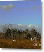 Lifes Field Of Dreams Metal Print