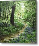 Life's Pathway 'el Sendero' Metal Print