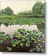 Lilly Pond Dreams Metal Print