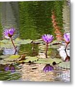 Lilly Reflection Metal Print