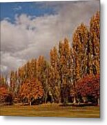 Line Of Trees Metal Print