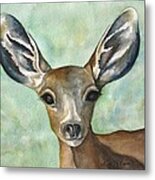 Little Fawn Metal Print