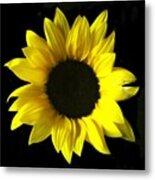 Live Life Like A Sunflower, And Find Metal Print