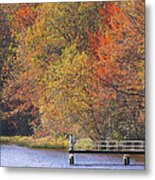 Locust Lake State Park 2968 Metal Print