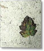 Lone Leaf Metal Print