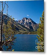 Looking Across Jenny Lake Metal Print