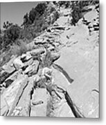 Looking Up The Hermit's Rest Trail Bw Metal Print