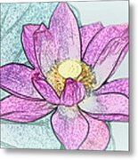 Lotus Flower Metal Print