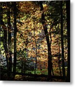 Luminous Forest 4 Metal Print