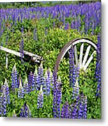 Lupin Wheels Metal Print