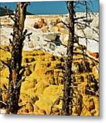 Mammoth Upper Terrace Metal Print