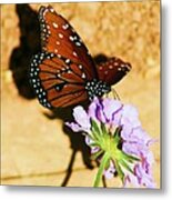 Monarch Metal Print