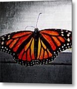 Monarch Metal Print