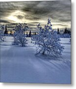 Moody Snow Scene Metal Print