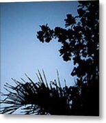 Moon Over The Dominican Metal Print