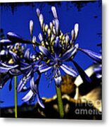 Morning Blooms Metal Print