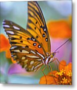 Morning Butterfly Metal Print