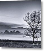 Morning Fog Metal Print