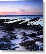 Moss Beach - Fitzgerald Reserve Shore Metal Print