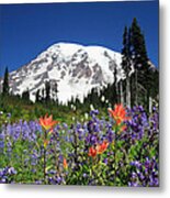 Mount Rainier Wildflowers Metal Print