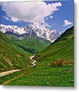 Mountain Valley Metal Print