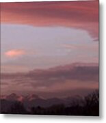 Natural Beauty Metal Print