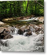 Natural Pool Metal Print