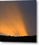 Natures Search Light Metal Print