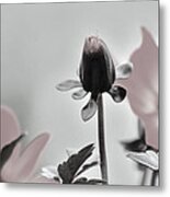 New Life Metal Print