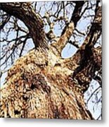 Oak Tree Metal Print