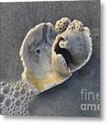 Ocean's Gift Metal Print