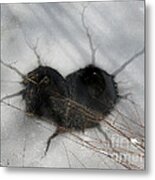 On The River. Heart In Ice 01 Metal Print