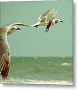 On The Wings Of A Seagull Metal Print