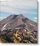 On Top Of The World Metal Print