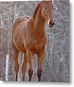 'one Day I Will Race' Metal Print