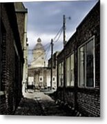 Only For Alley Cats Metal Print