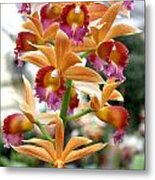 Orange Orchids Metal Print