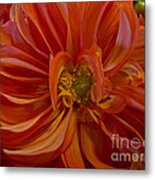 Orange You Happy Metal Print