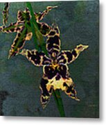 Orchid Study Ii Metal Print