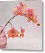 Orchids In A Pink Vase Metal Print