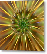 Origin Metal Print