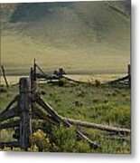 Out To Pasture Metal Print