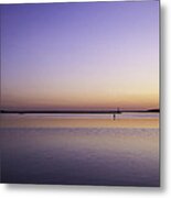 Outer Cape Cod Metal Print