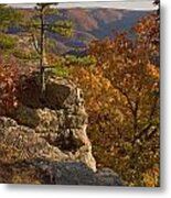Overlook At Cecil Hollow Metal Print