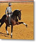 Pablo Hermoso Metal Print